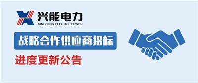 动态丨关于开云手机登录界面2019战略合作供应商招标进度的公告